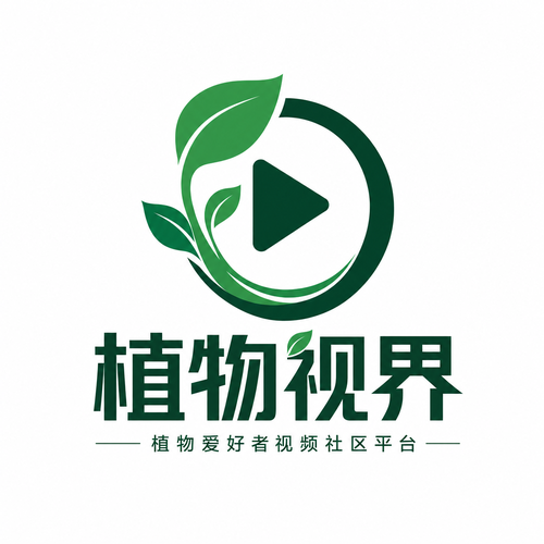国产主播